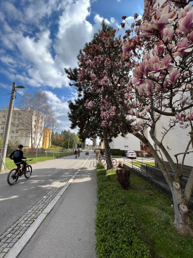 Friendly Space Apartment Graz Dış mekan fotoğraf